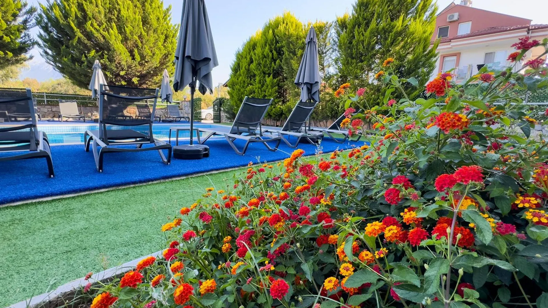 Sardunya Hotel Fethiye